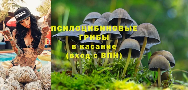 индика Алексеевка