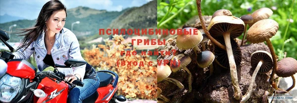меф Алзамай
