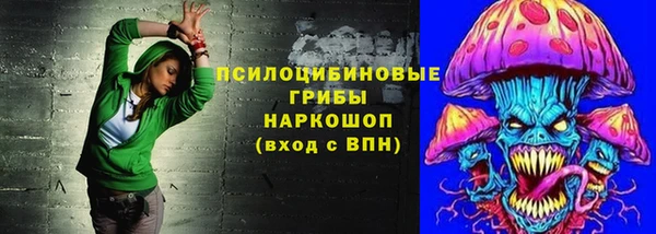 индика Алексеевка